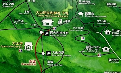 山术椒药用功效与主治-山椒的药用功效、山椒子主治什么病 -山术椒药用功效网