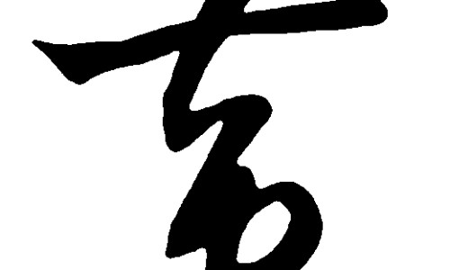 山椒的药用功效、山椒子主治什么病 -山术椒药用功效网